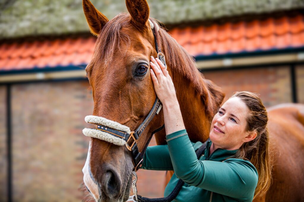 Revalidatie voor paarden